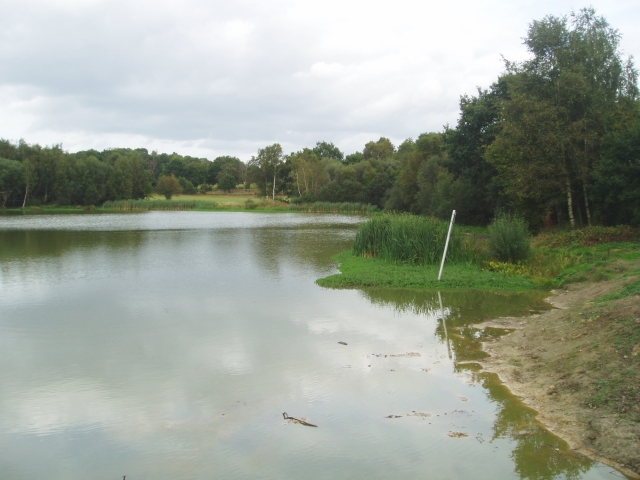 Piltdown Pond