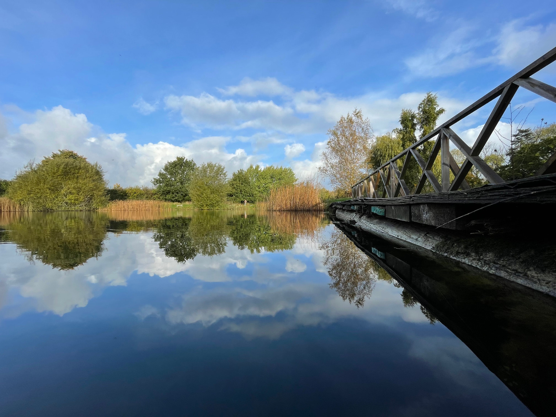 Duncton Mill Trout Fishery