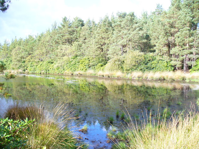 Rushmoor Fishing Lakes