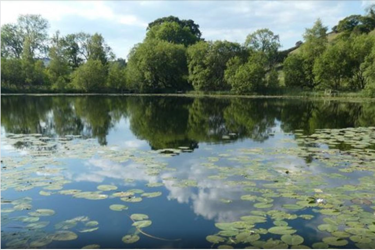 Skelsmergh Tarn