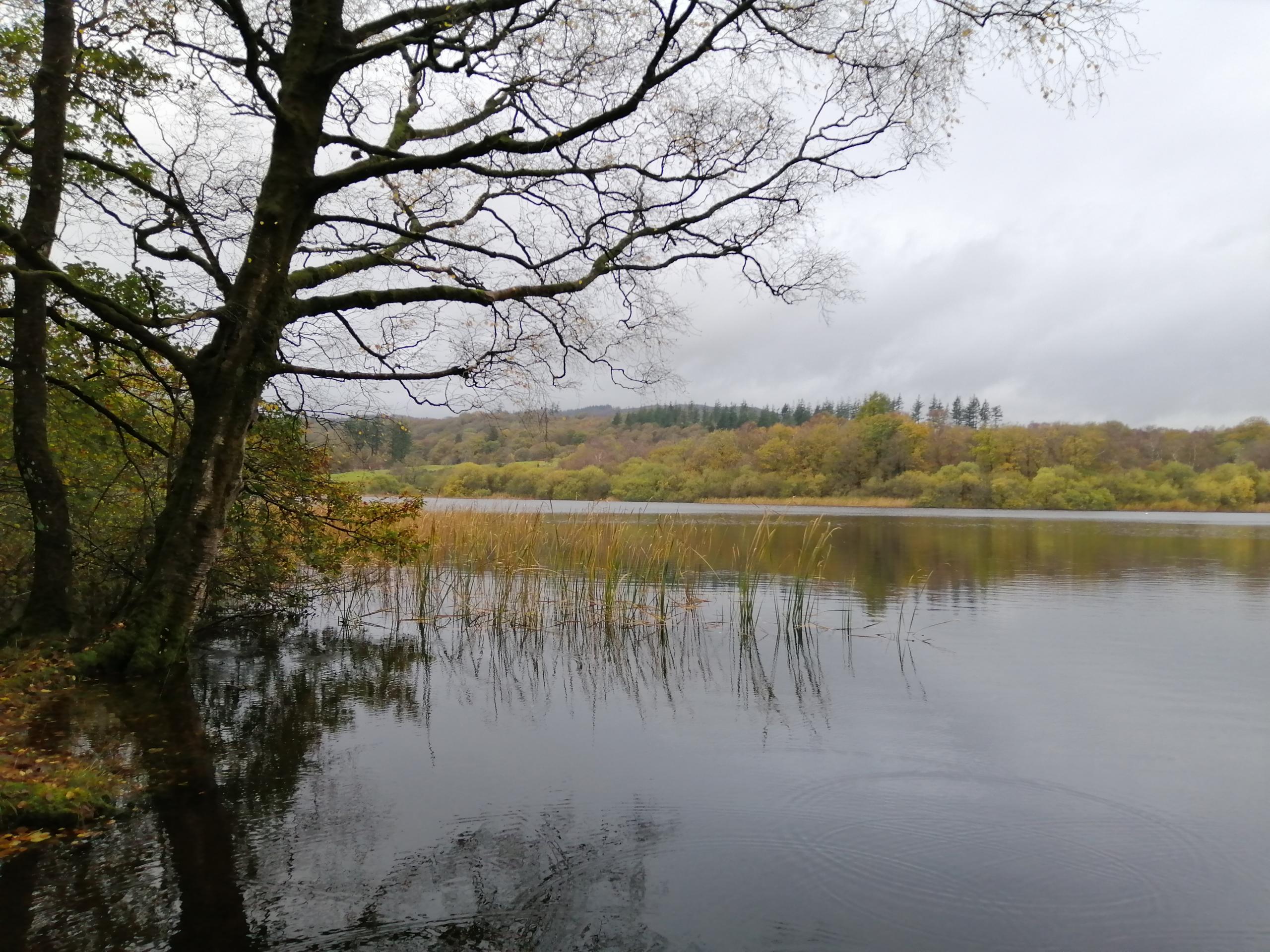 Blelham Tarn