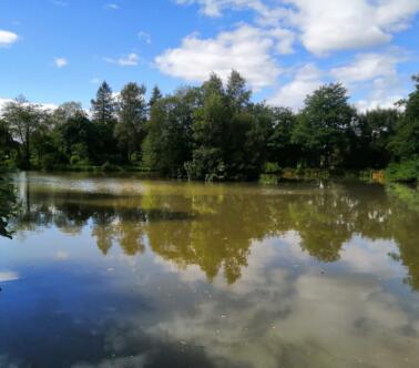 Rydal Water