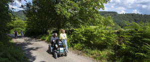 Forestry England