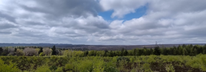 Cropton Forest (Outdoor Mobility)