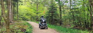 Keldy Forest (Outdoor Mobility)