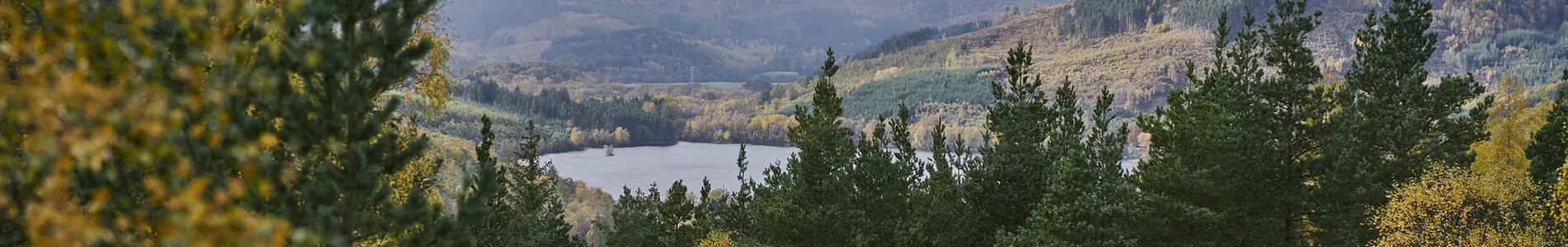 Forestry & Land Scotland