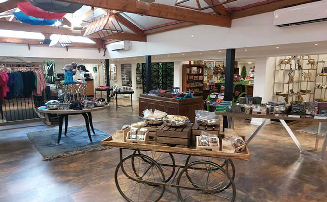 The Forbidden Corner