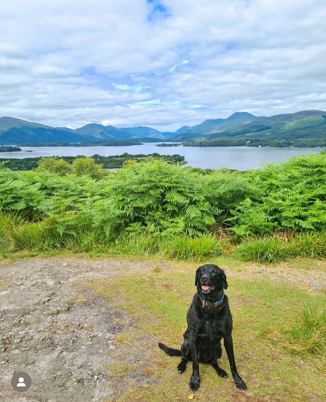 Cruise Loch Lomond photo