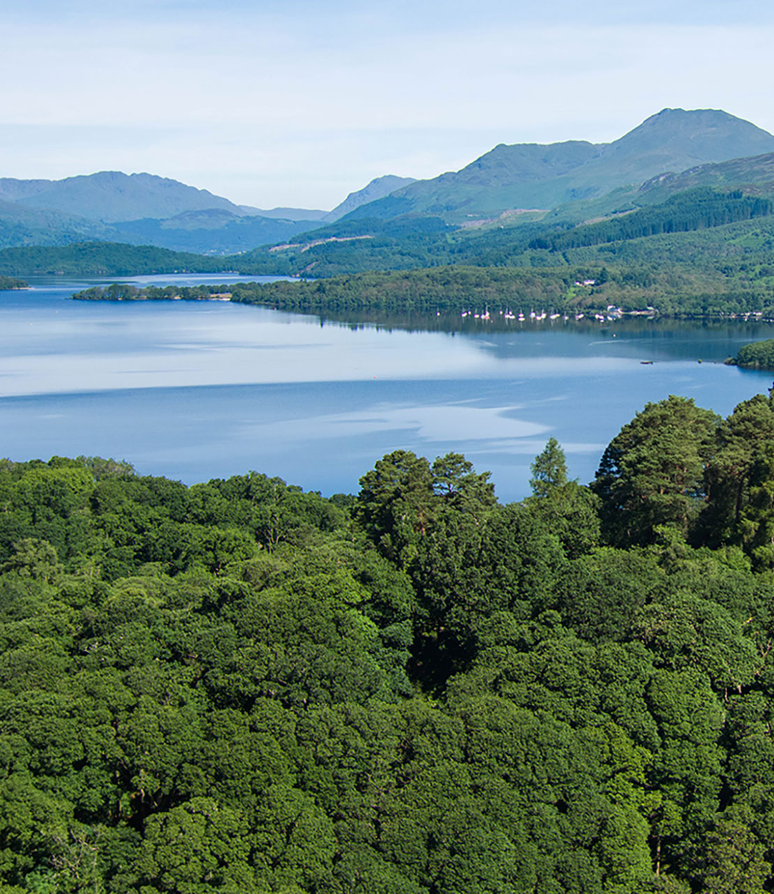 Cruise Loch Lomond photo