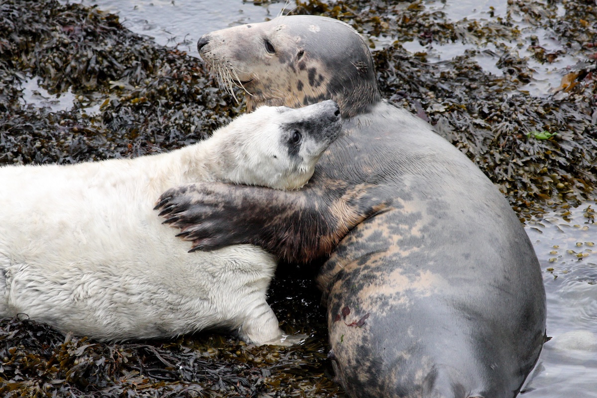 Thousand Islands Expeditions photo