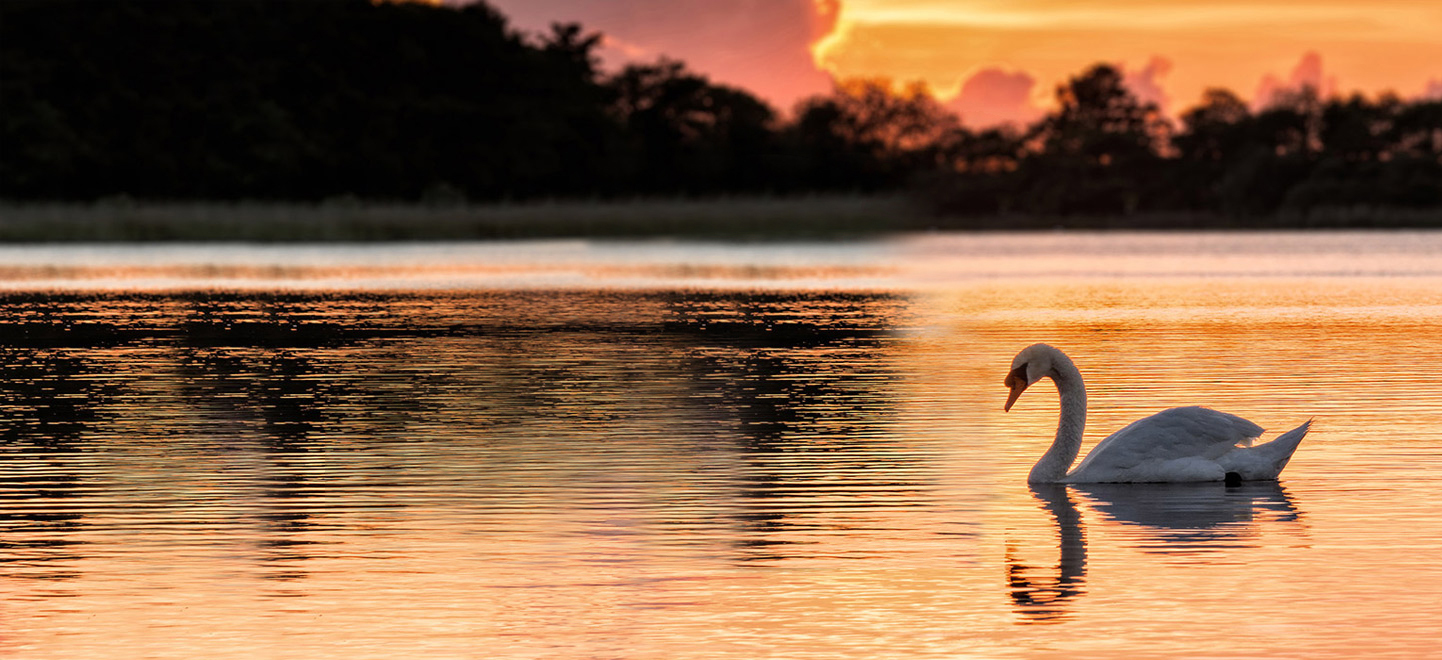 Broads Tours photo