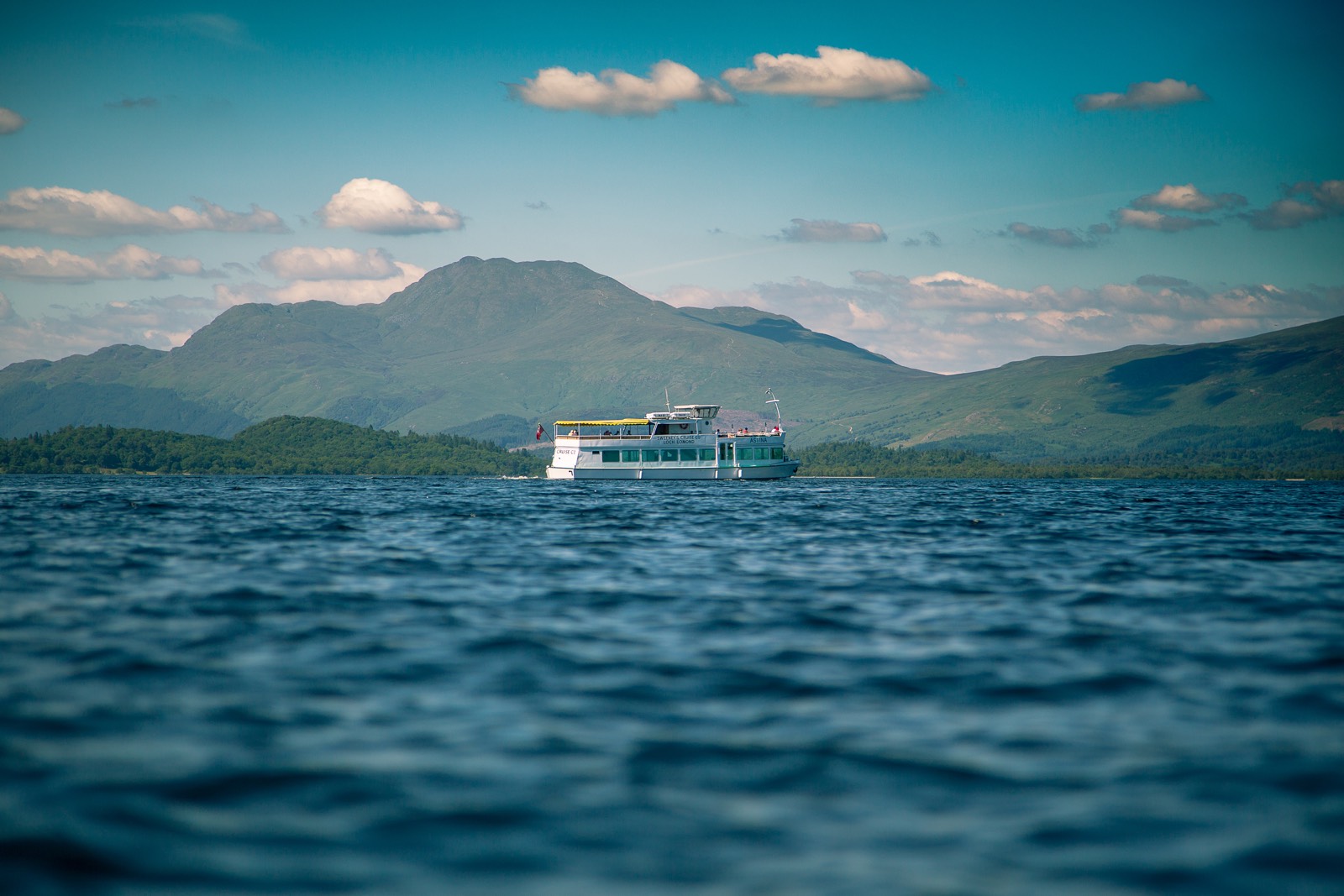 Sweeney's Cruise Co photo