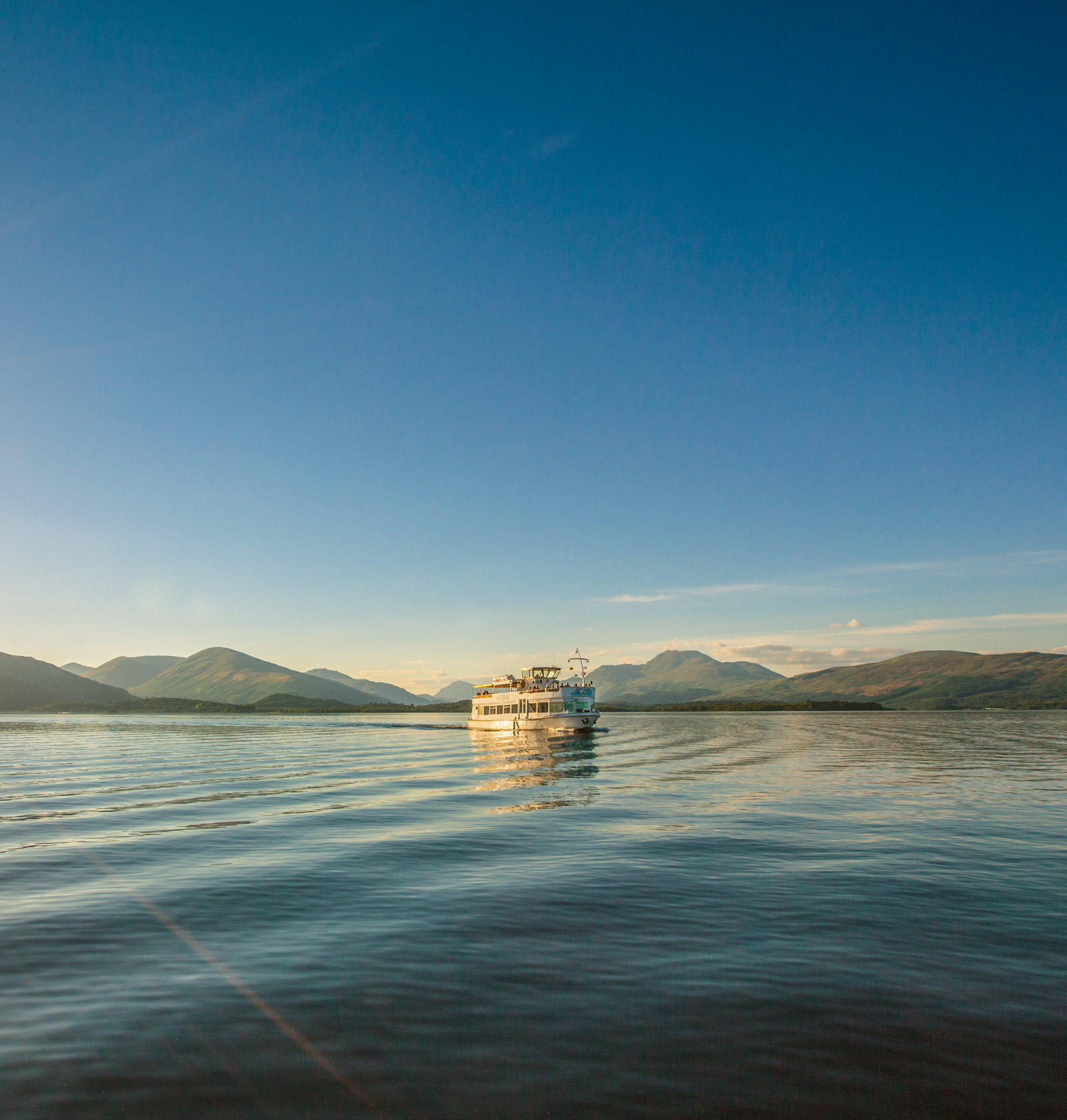 Sweeney's Cruise Co photo