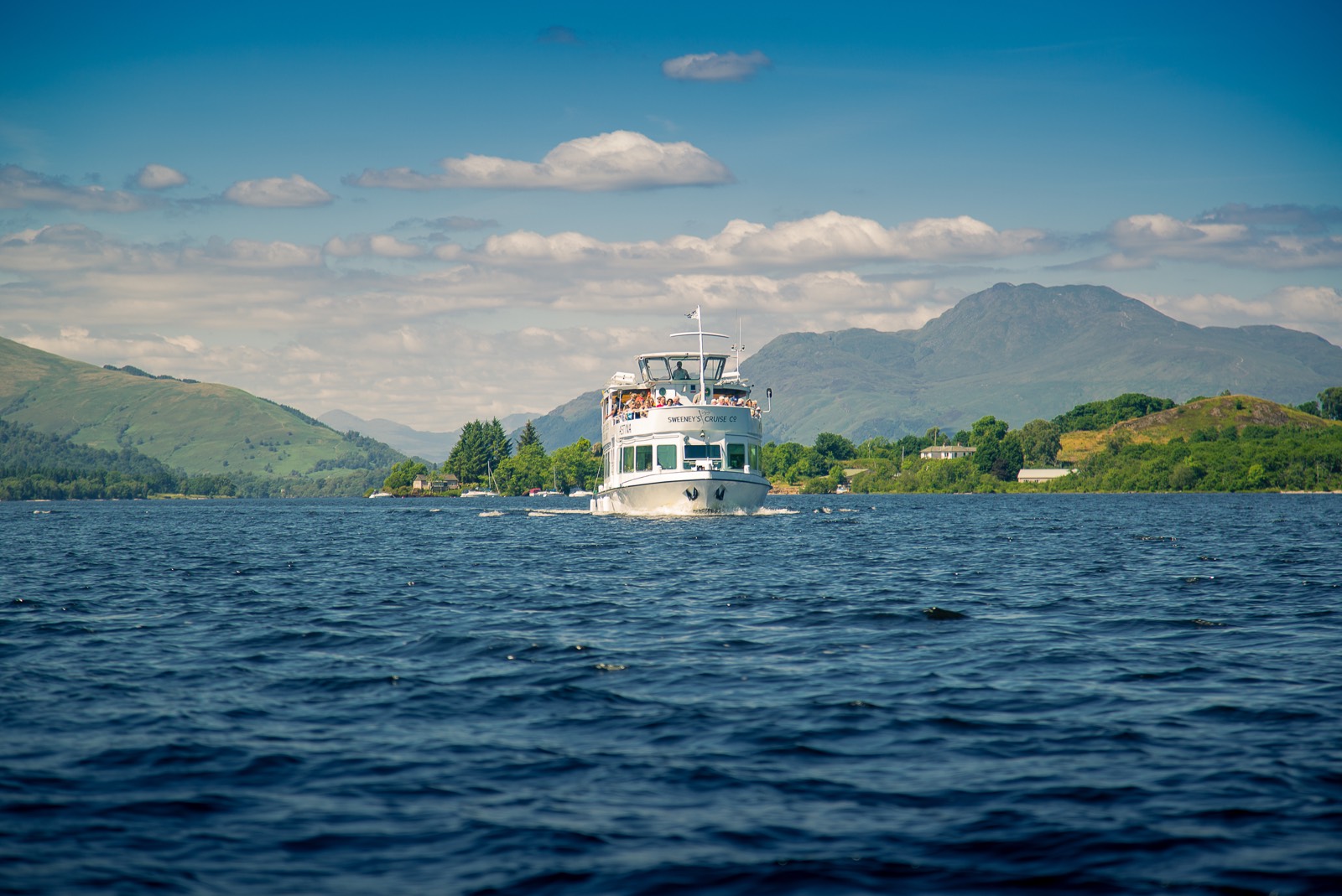 Sweeney's Cruise Co photo