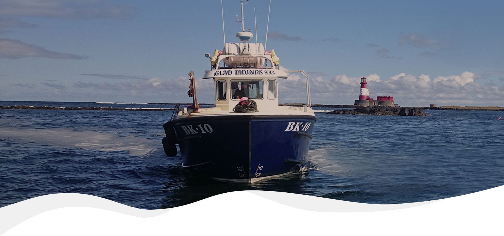 Billy Shiel's Farne Islands photo
