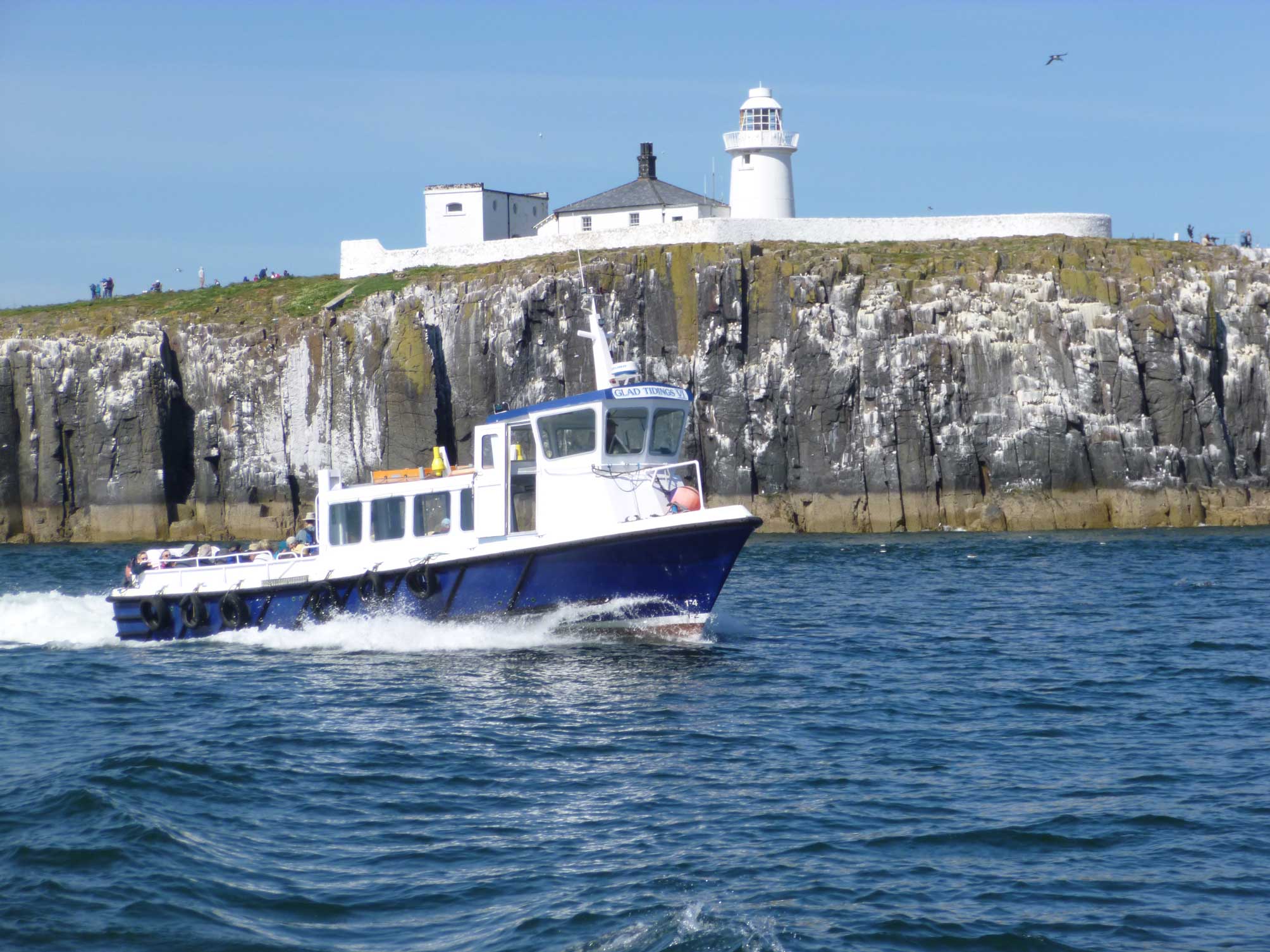 Billy Shiel's Farne Islands photo