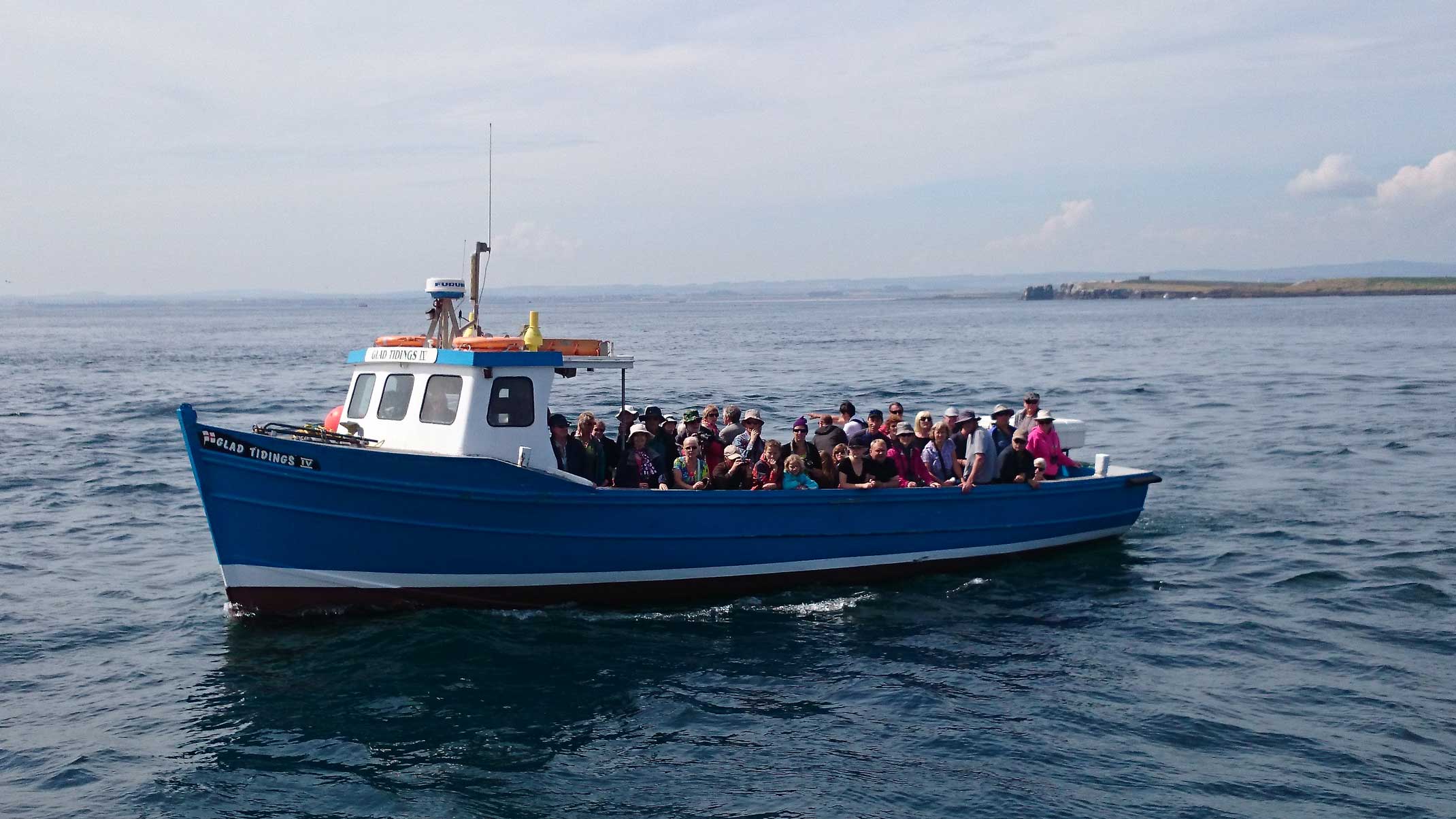 Billy Shiel's Farne Islands photo