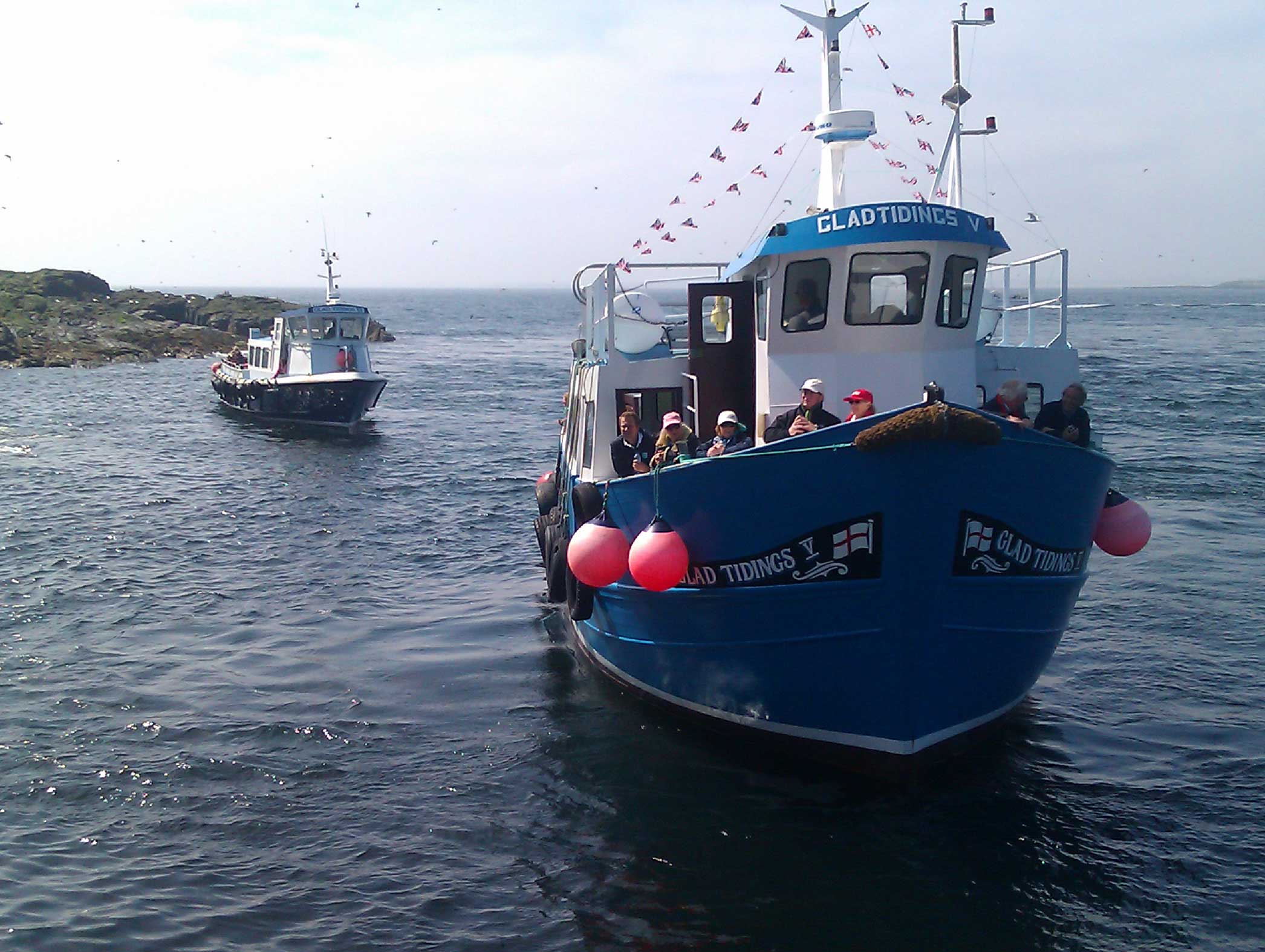 Billy Shiel's Farne Islands photo