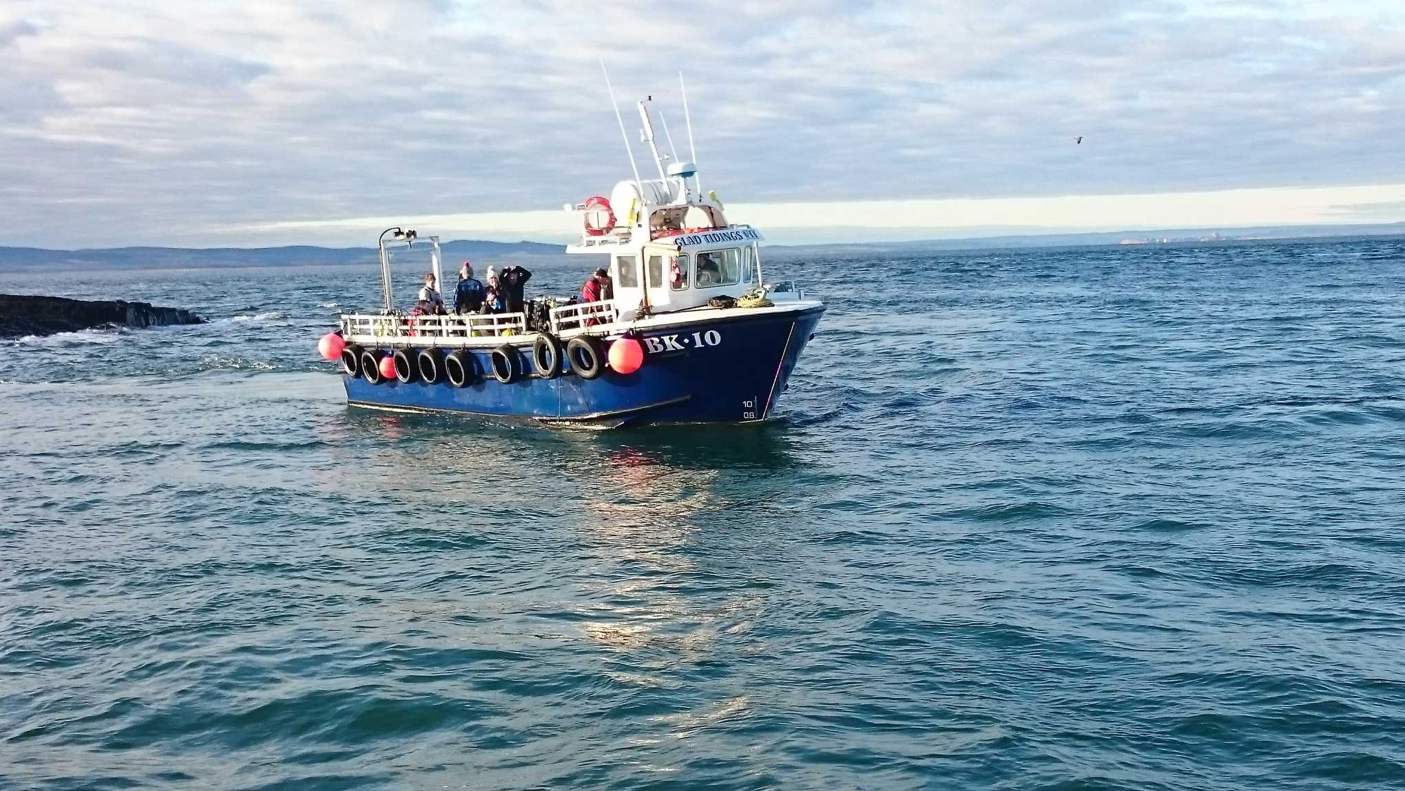 Billy Shiel's Farne Islands photo