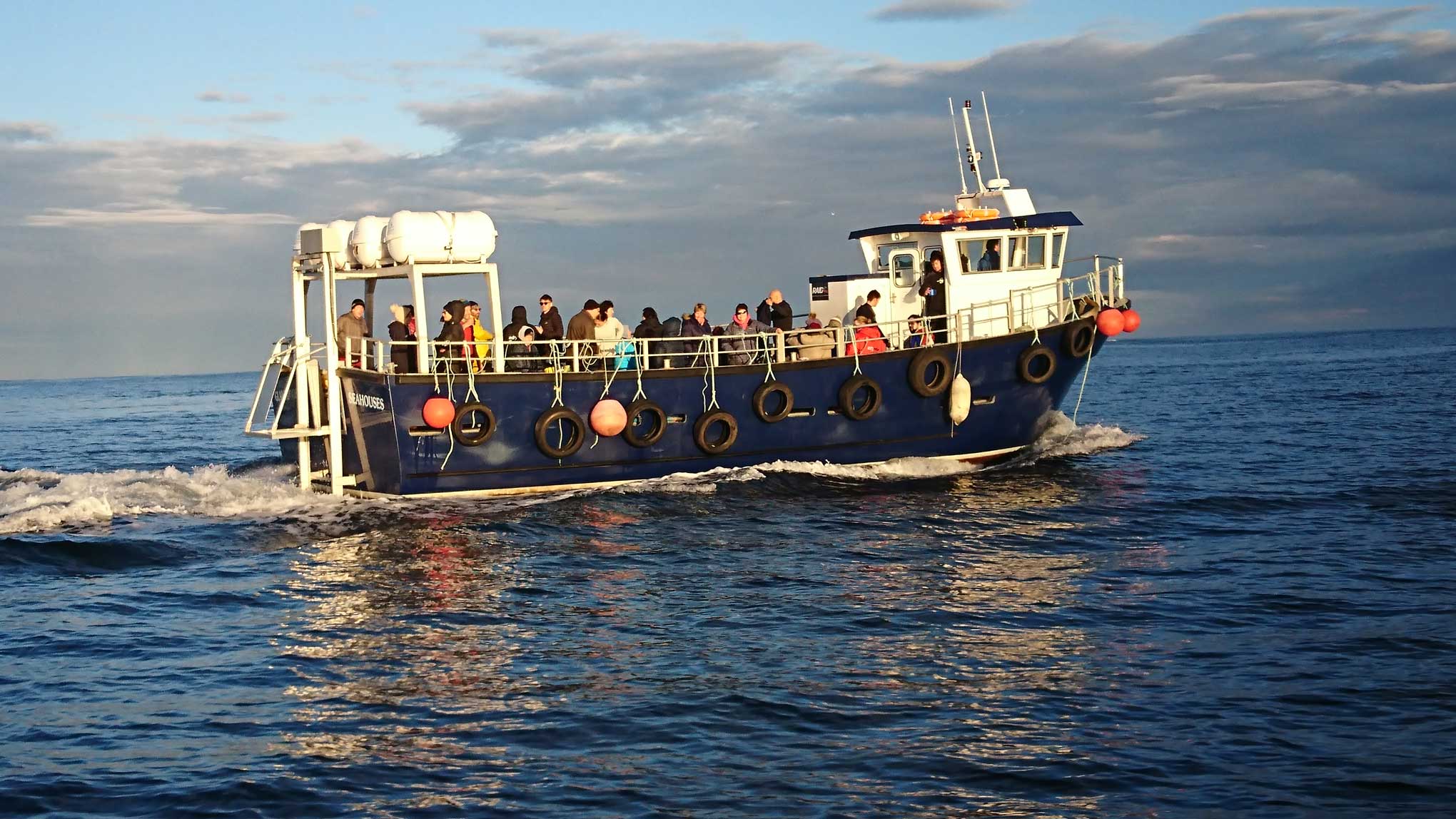 Billy Shiel's Farne Islands photo