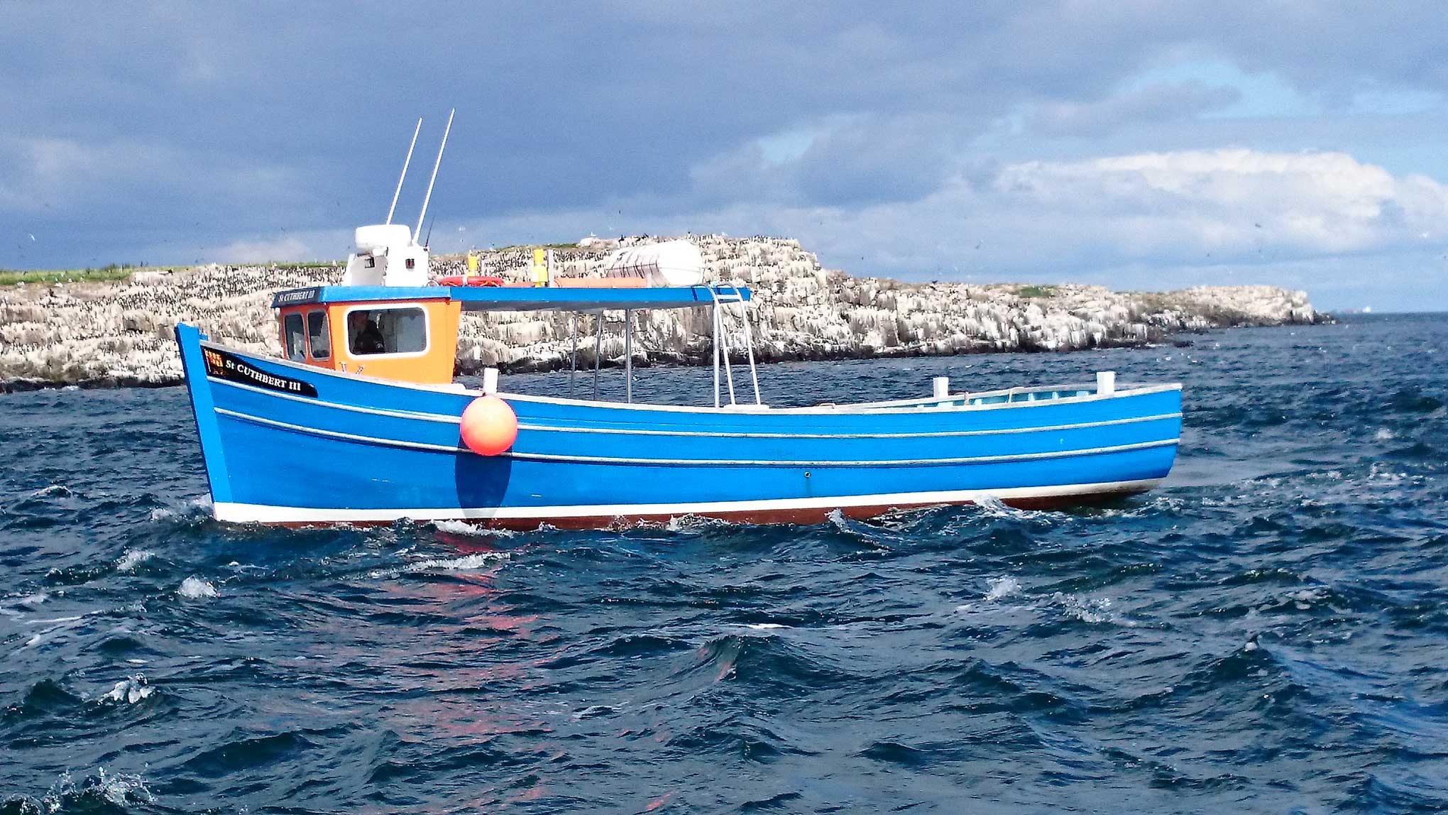 Billy Shiel's Farne Islands photo