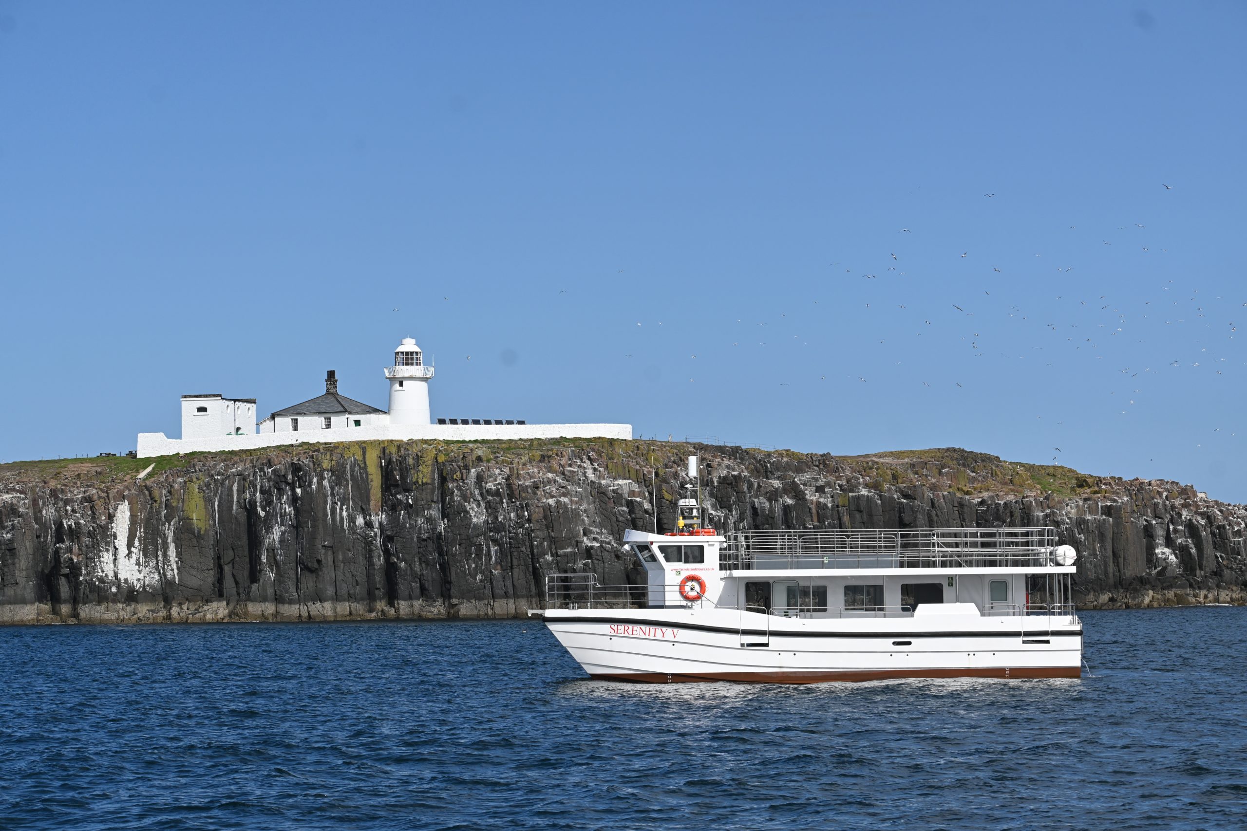 Serenity Farne Island Tours photo