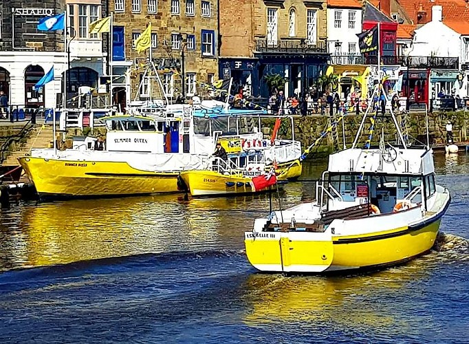Whitby Coastal Cruises photo