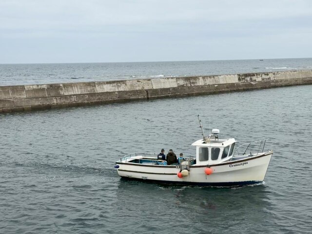 Golden Gate Farne Islands photo