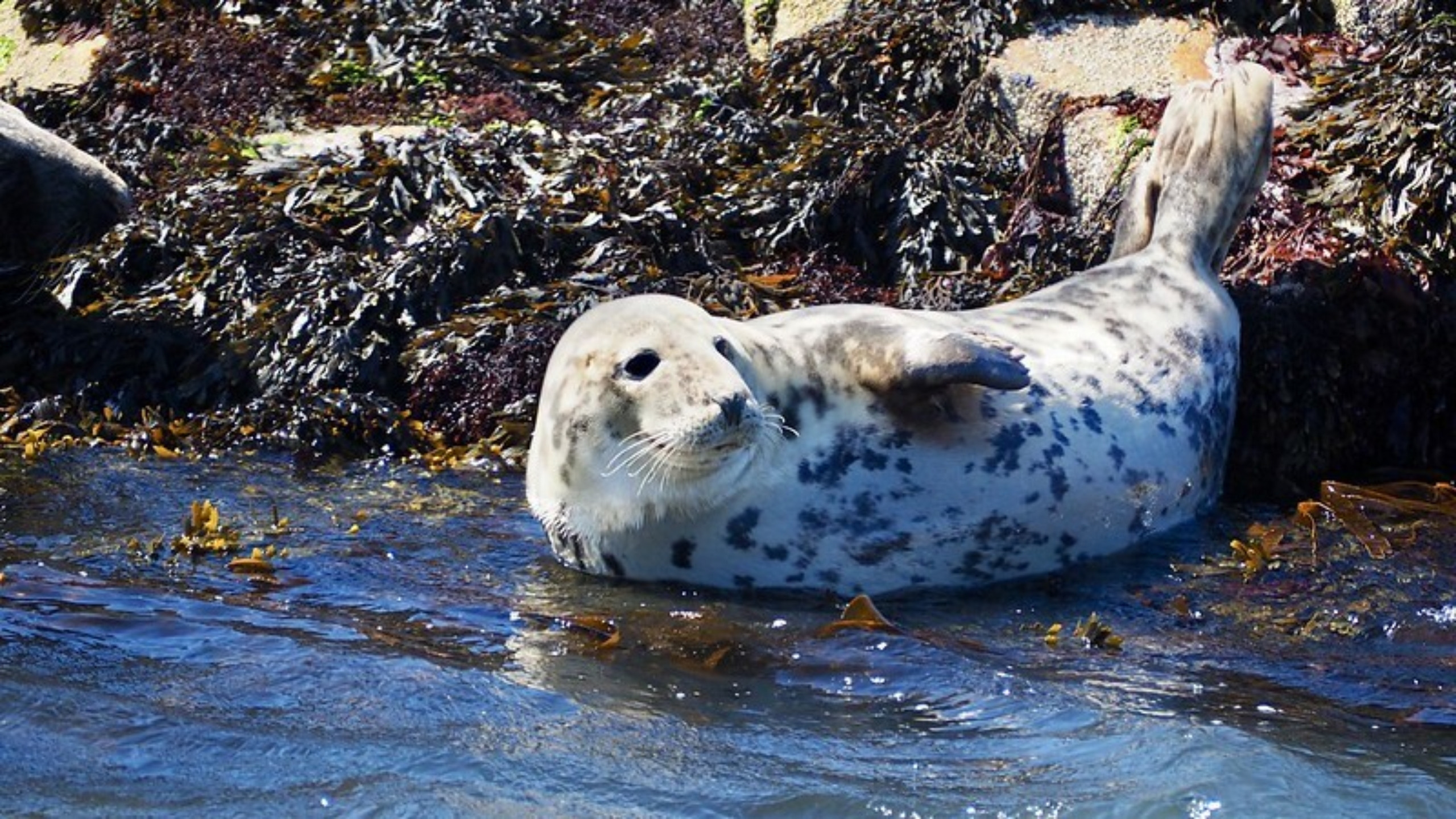 RibRide Adventure Boat Tours photo