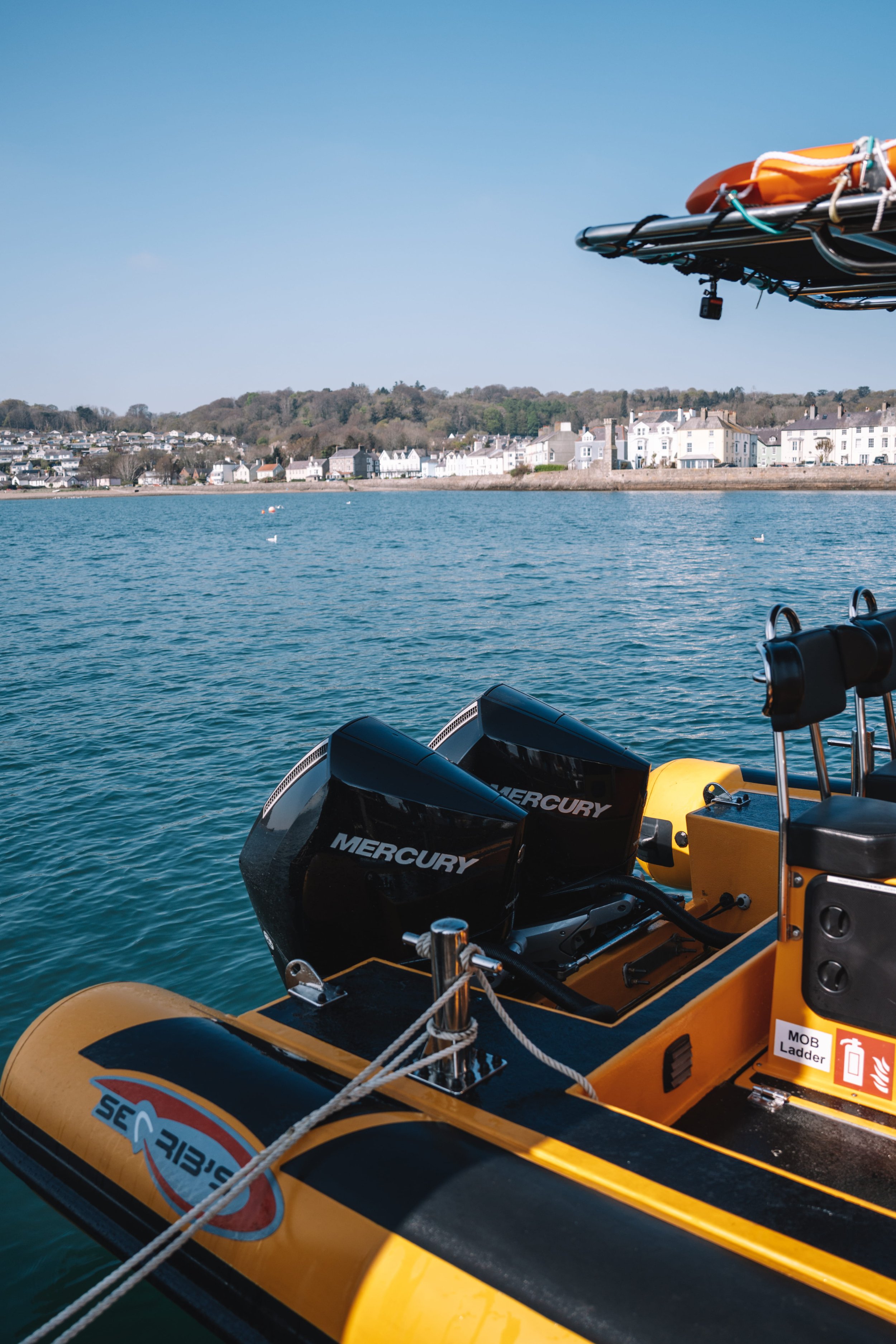 Anglesey Boat Trips (Seawake) photo