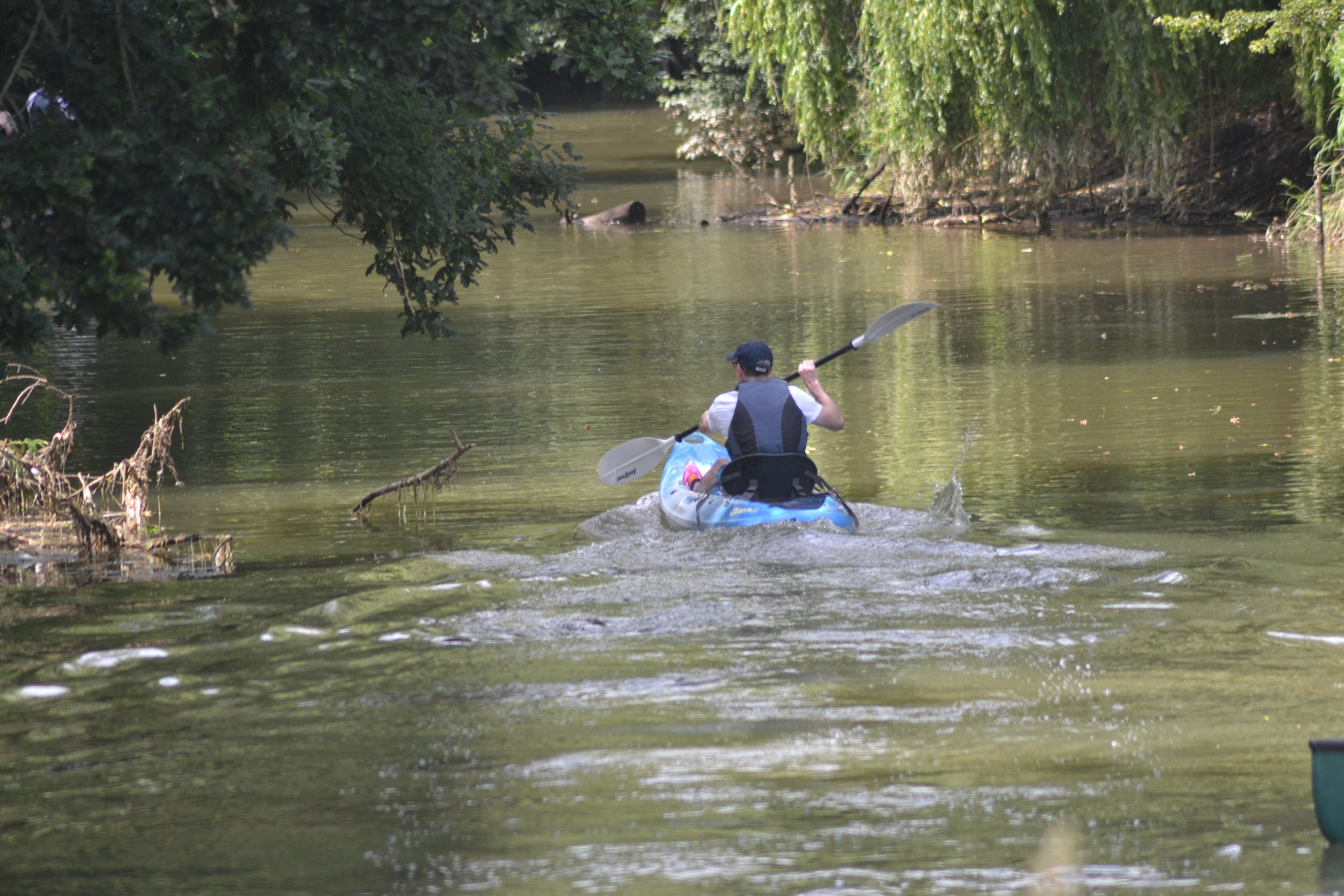 Pulborough Paddles photo