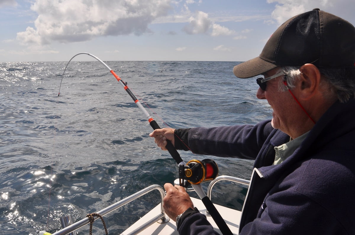 Barmouth Boat Trips photo
