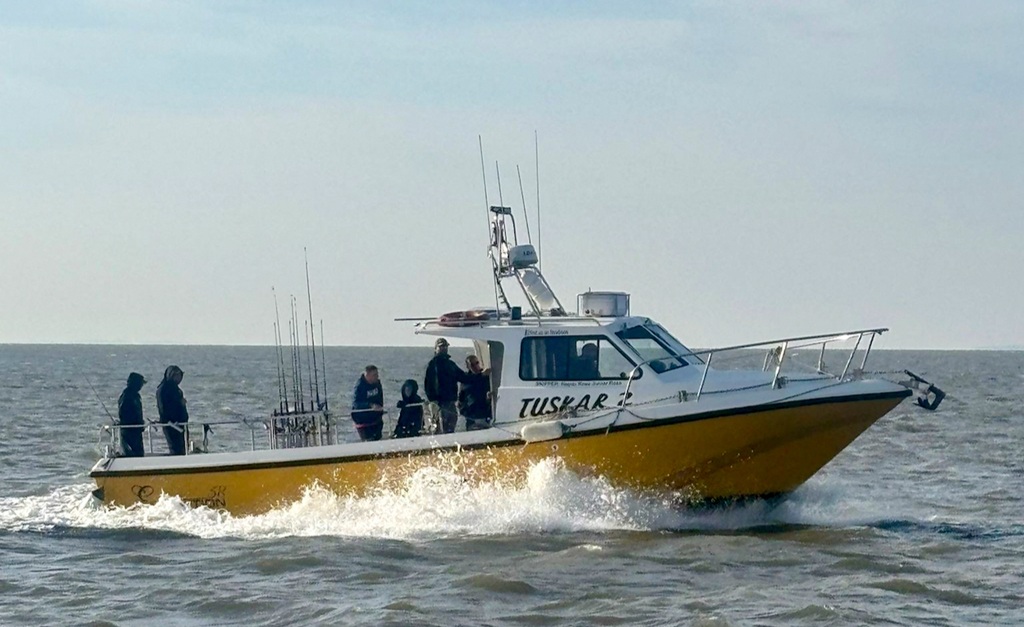 Barmouth Boat Trips photo