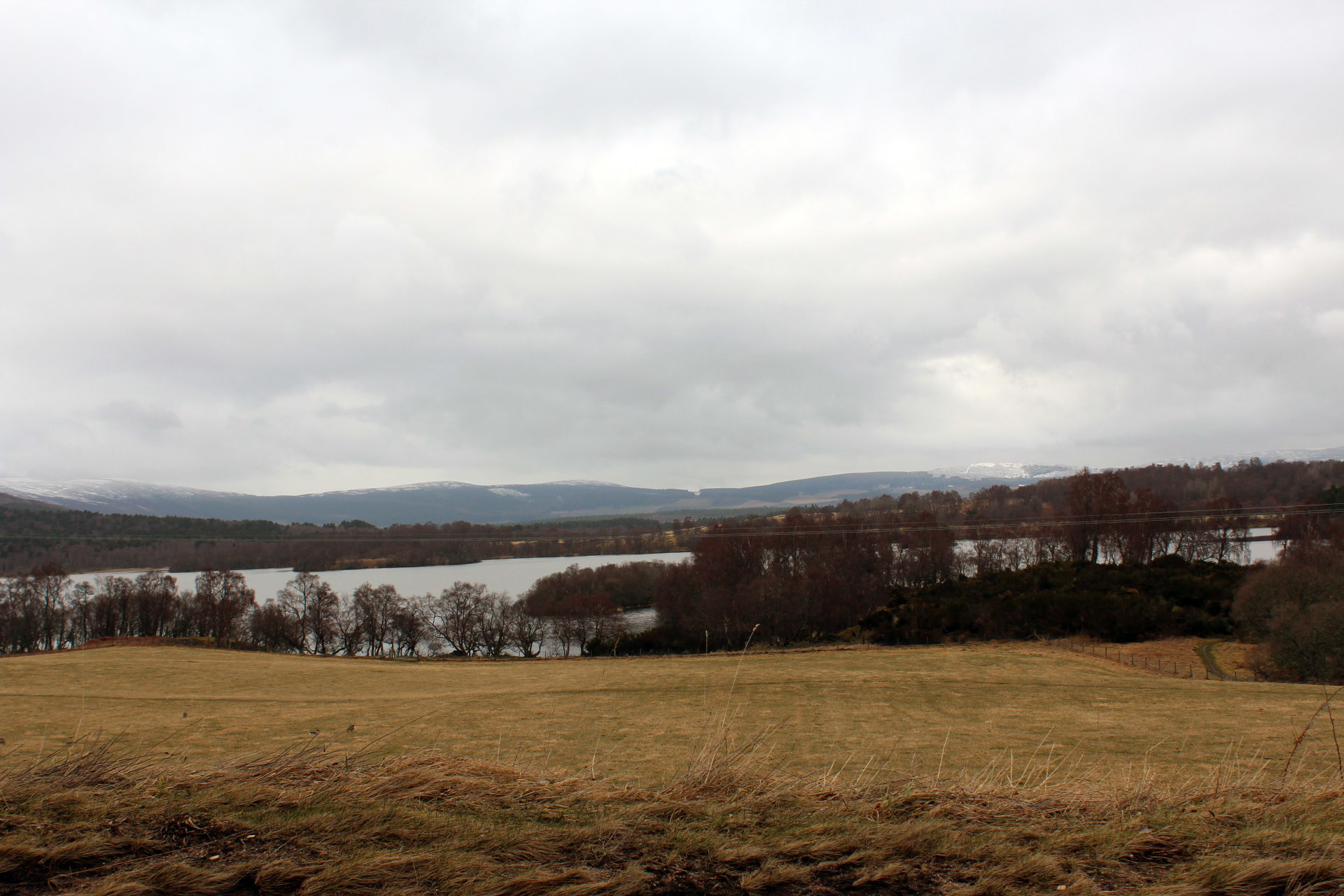 Holmhead Cottage photo