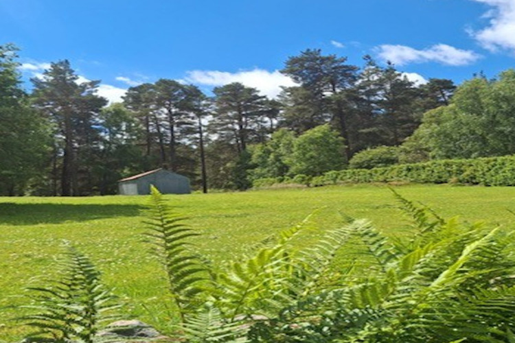 Holmhead Cottage photo