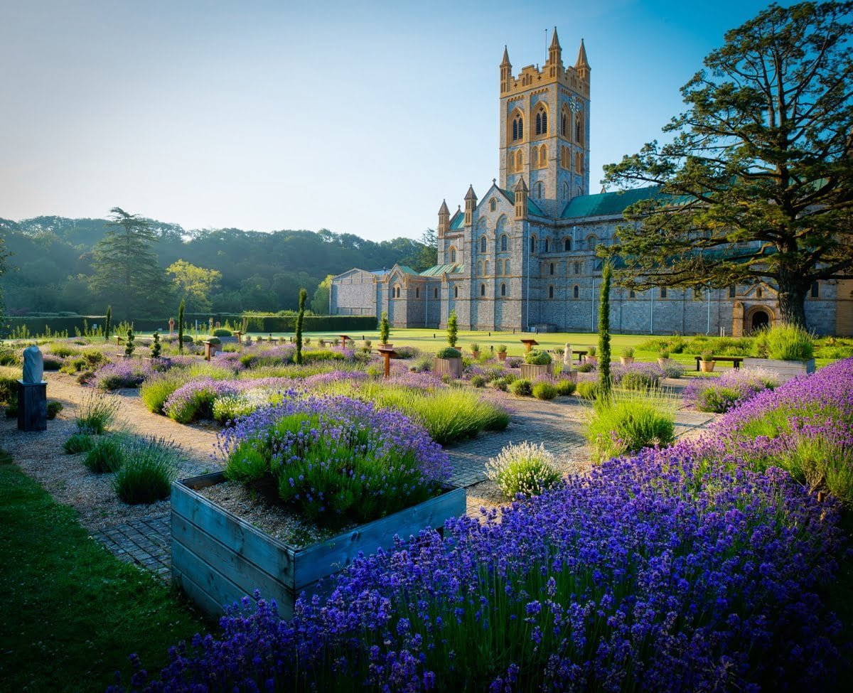 Buckfast Abbey photo