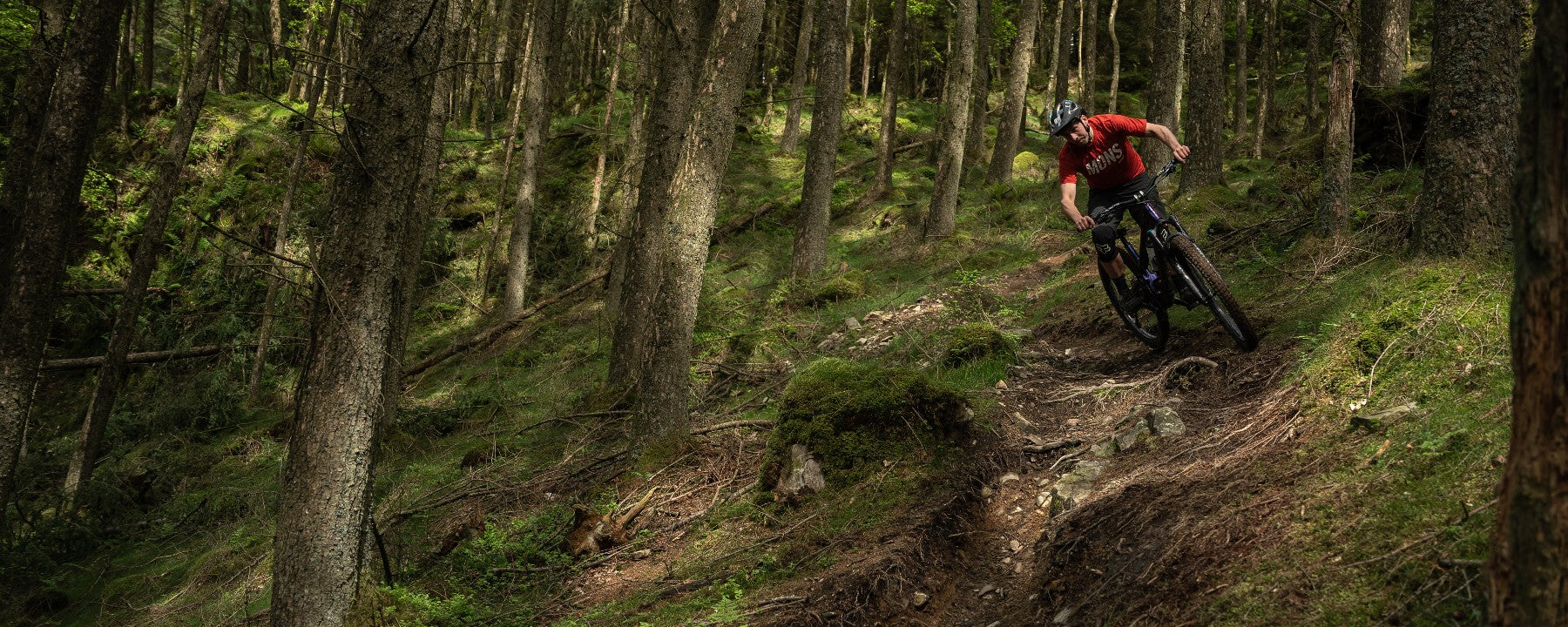Grizedale Biketreks photo