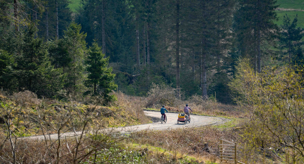 Grizedale Biketreks photo