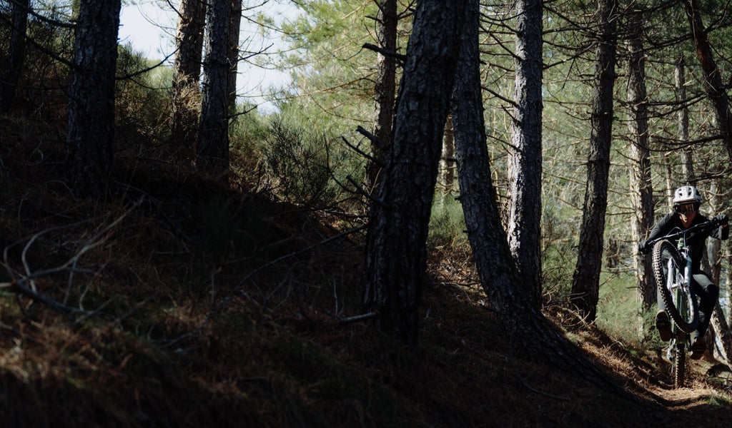 Grizedale Biketreks photo