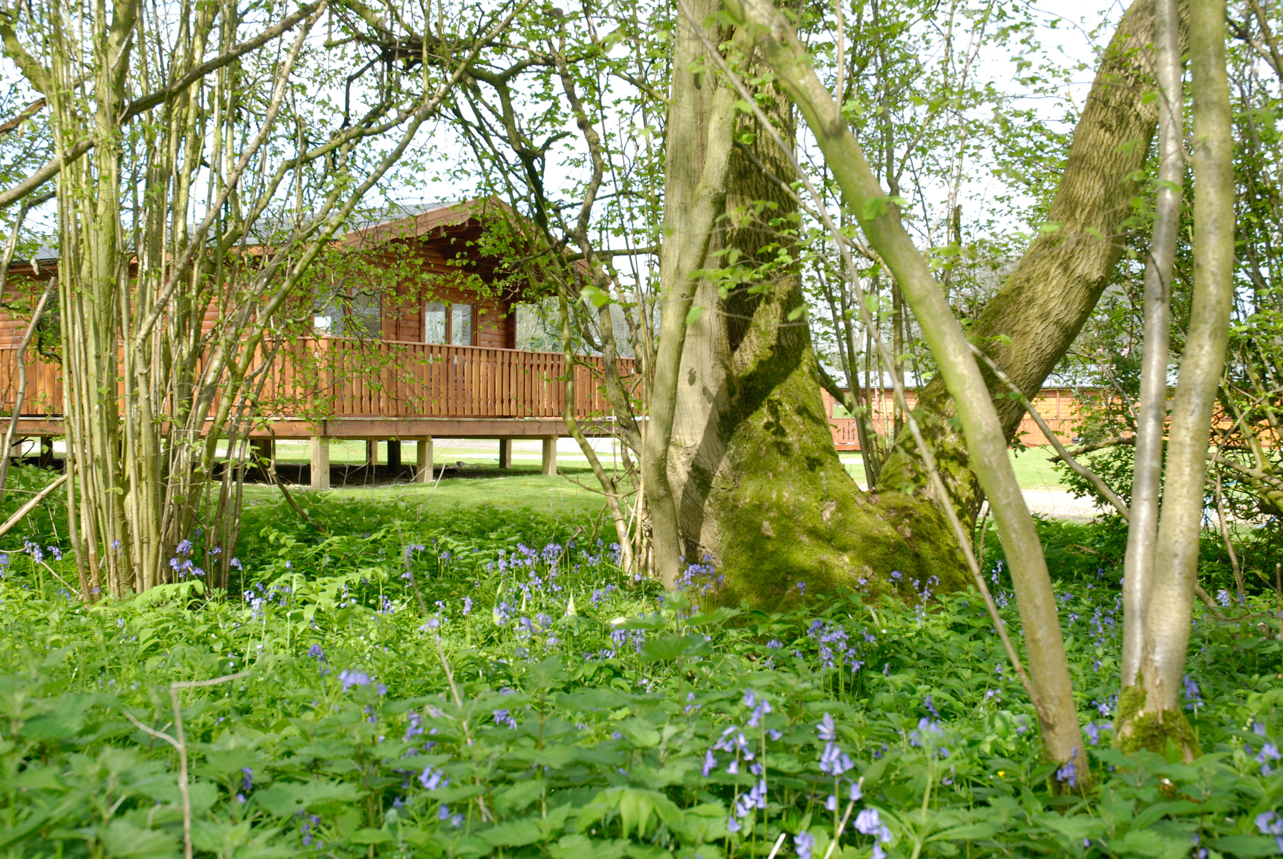 South Winchester Lodges photo
