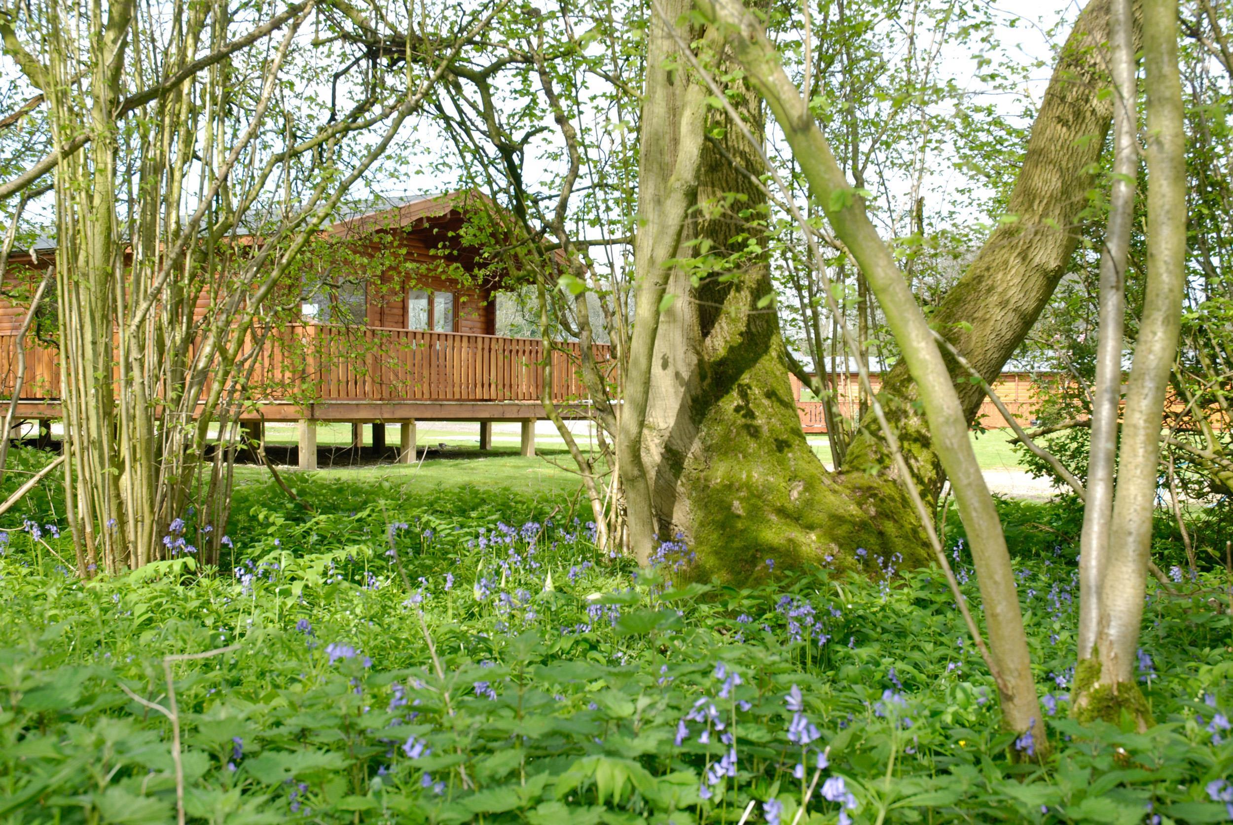 South Winchester Lodges photo