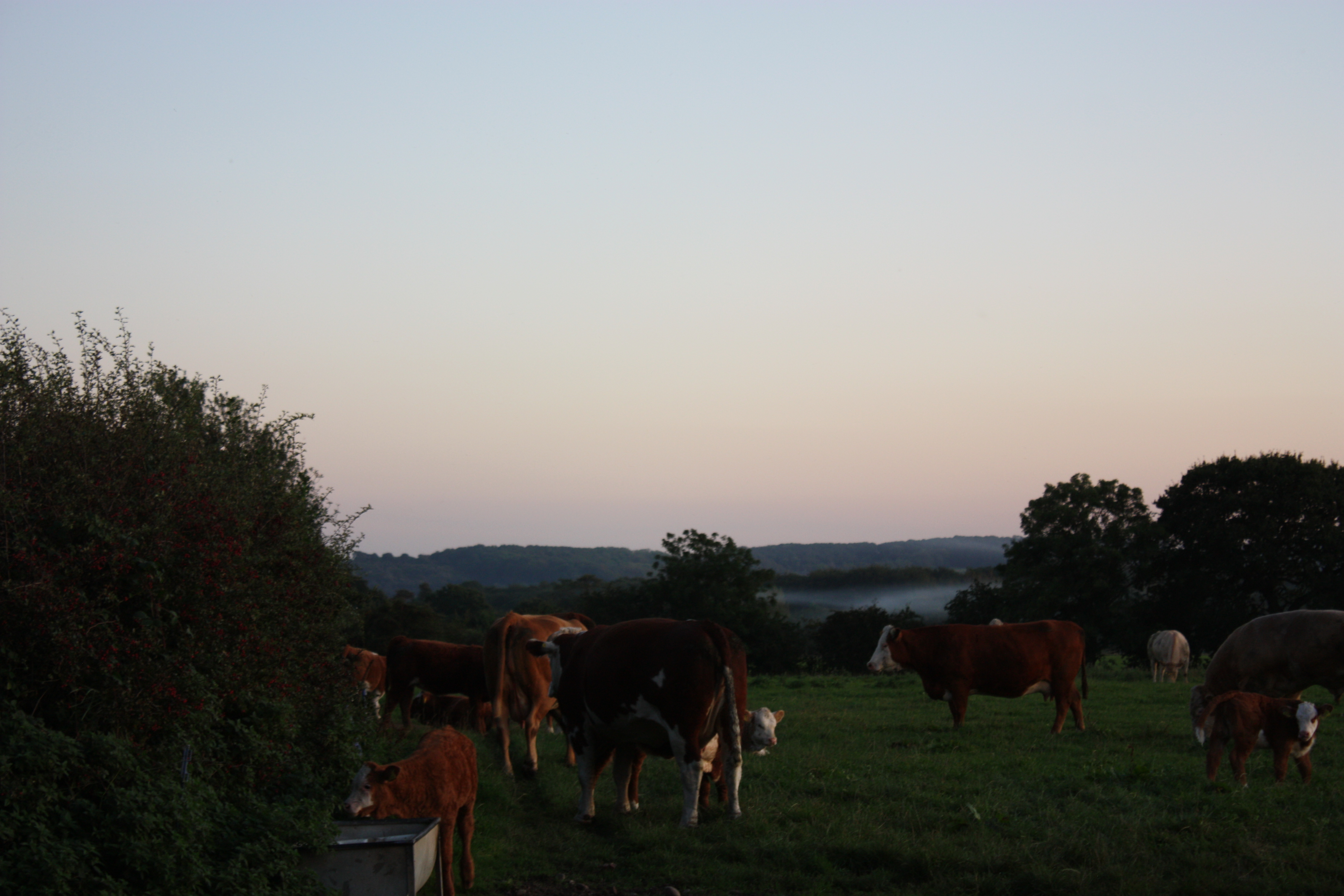 Broomhill Farm Camping & Caravanning photo