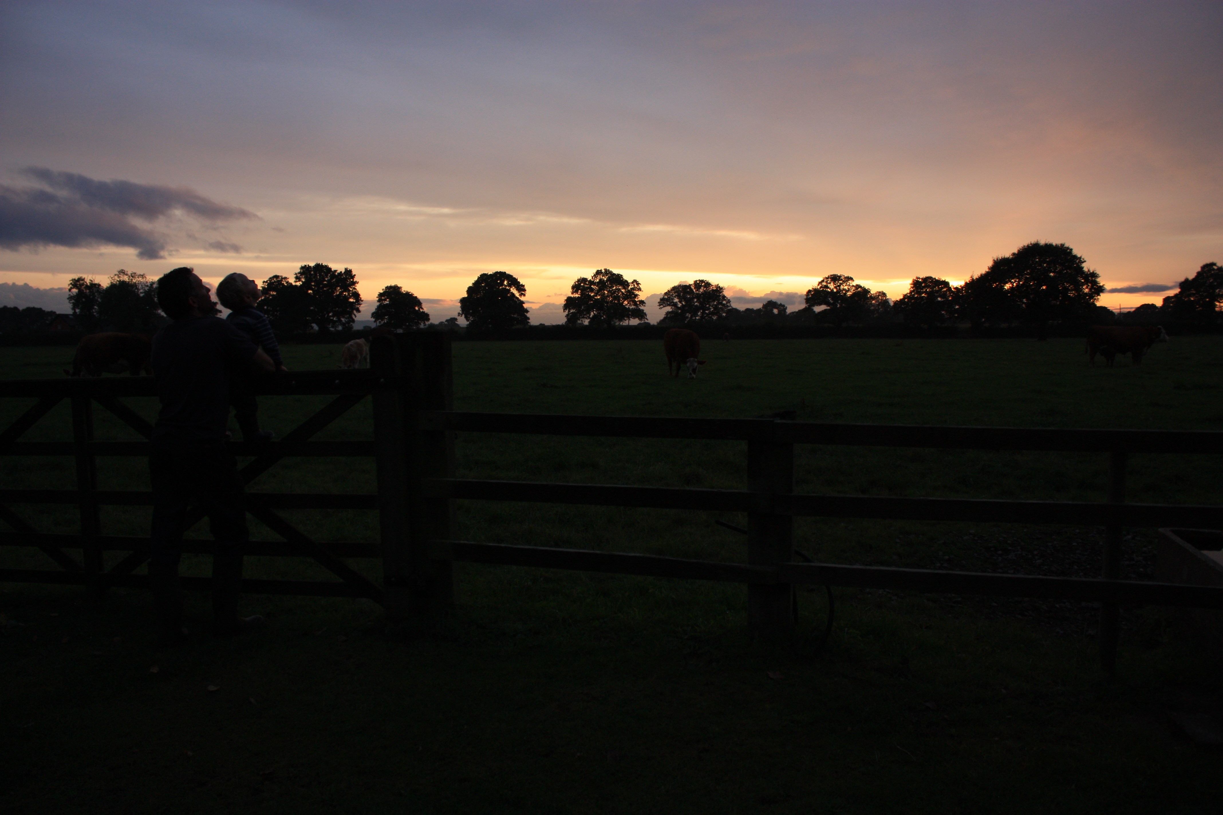 Broomhill Farm Camping & Caravanning photo