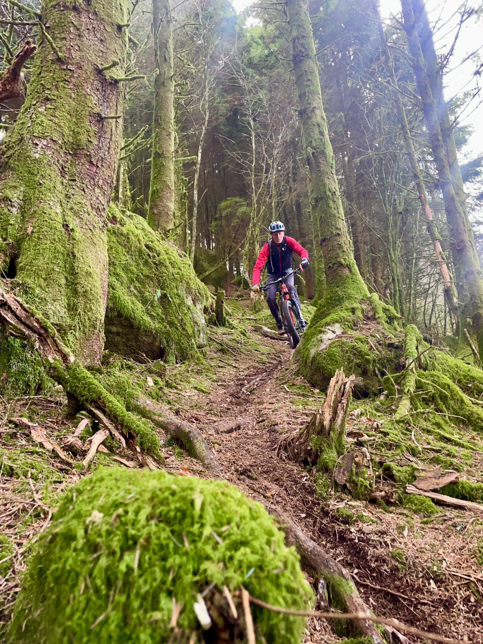 Peak and Moor Mountain Bike Guiding photo