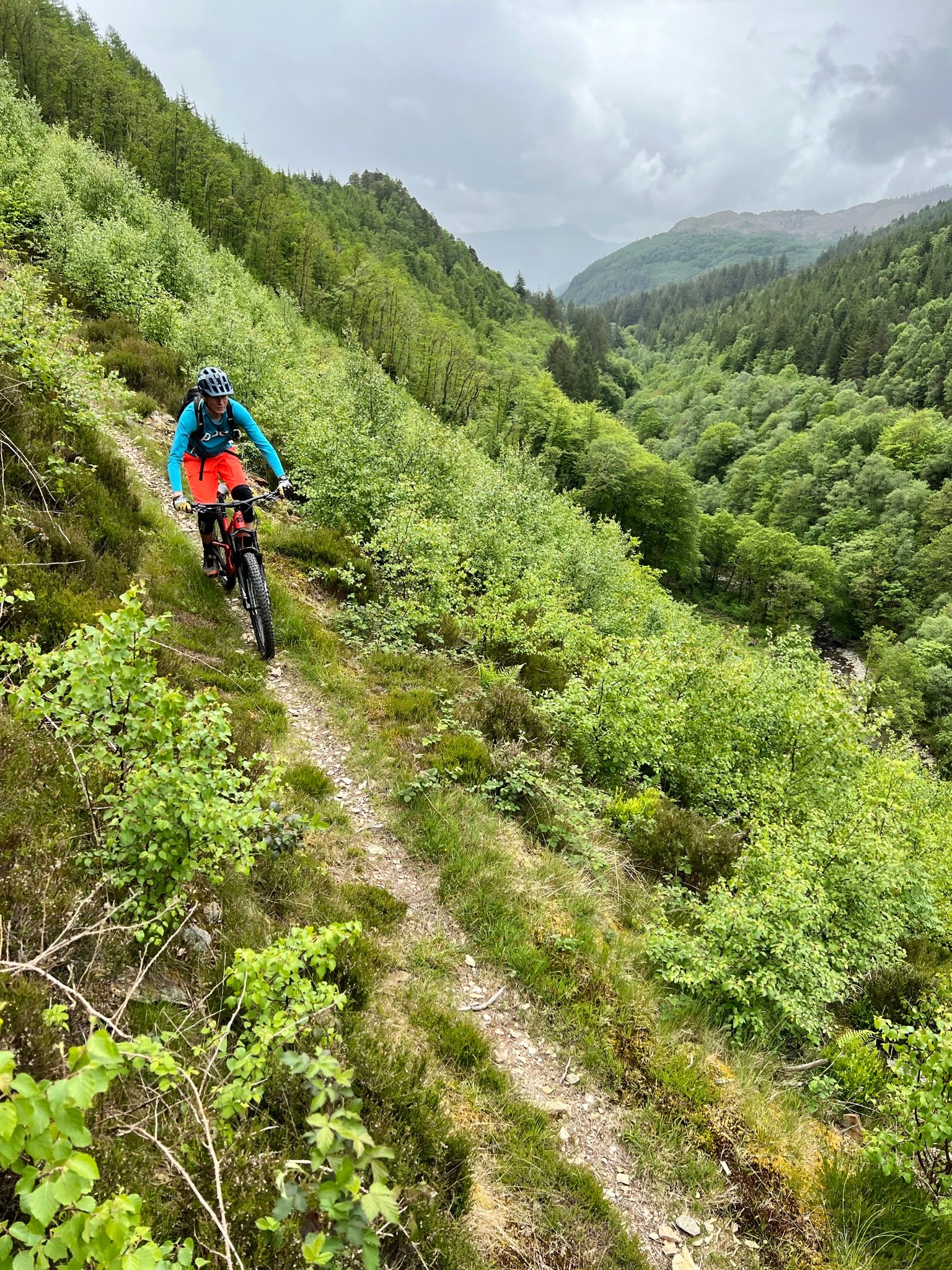 Peak and Moor Mountain Bike Guiding photo