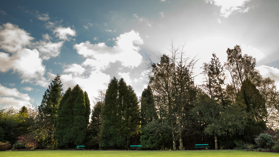 Keswick Country House Hotel photo