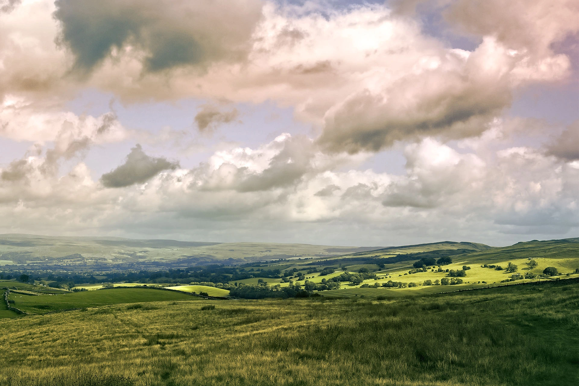 Coledale Inn photo