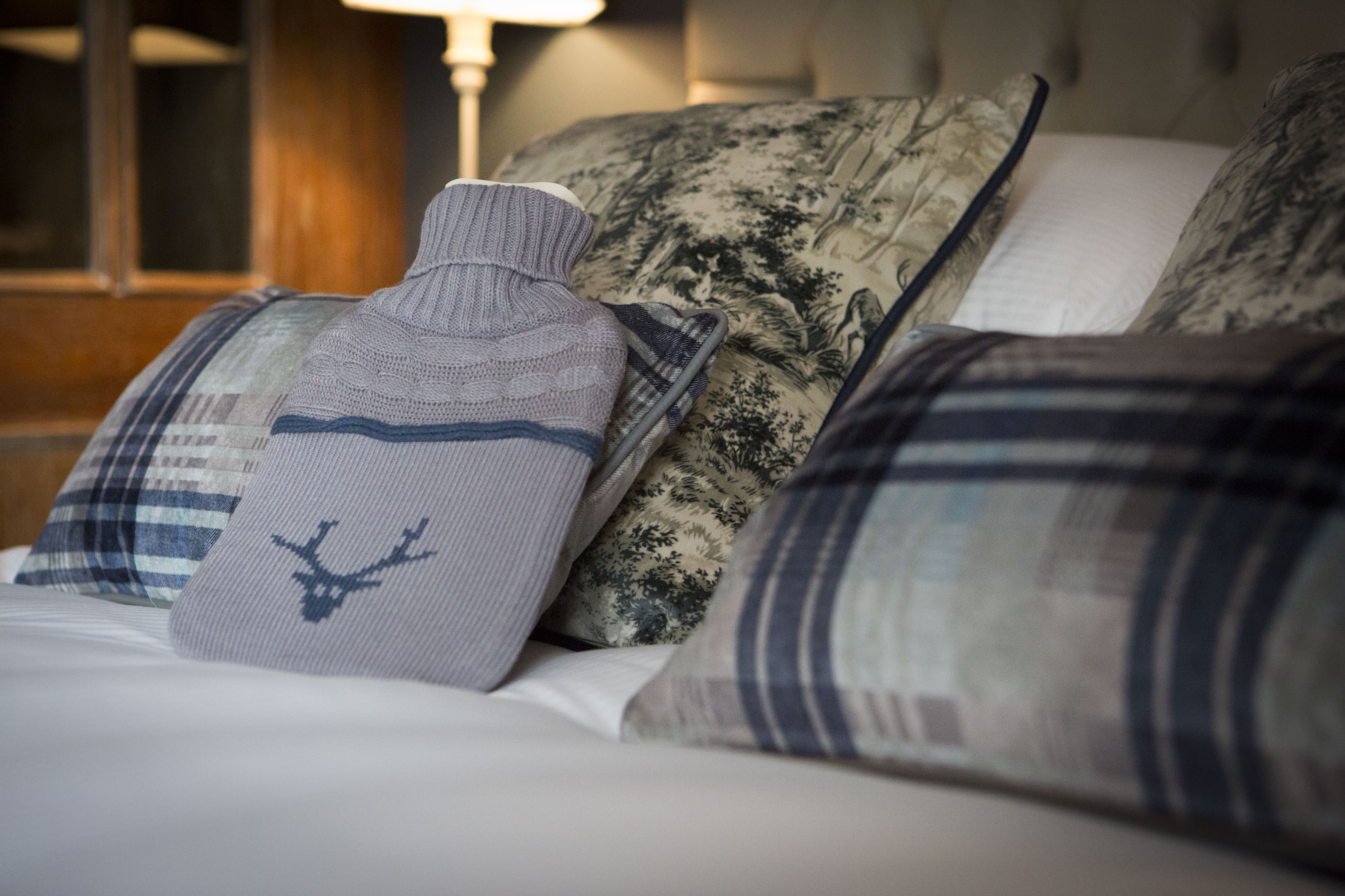 Crown & Cushion Inn photo