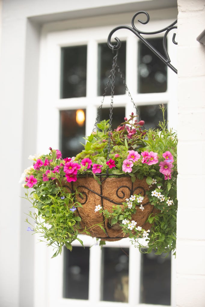 Crown & Thistle photo