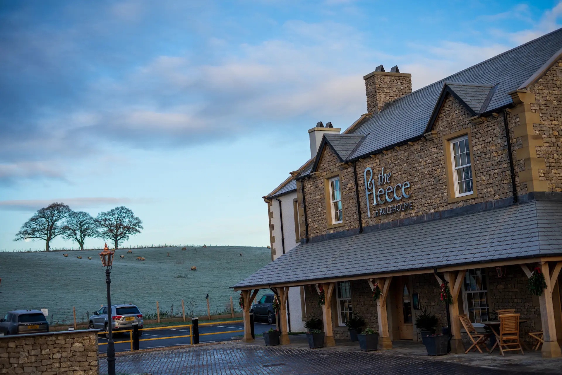 Golden Fleece photo